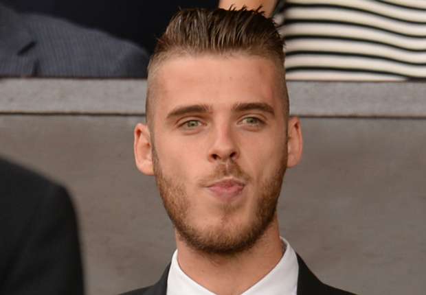 degea-cropped_1w1v8corkgqha1v87e3mpome12.jpg