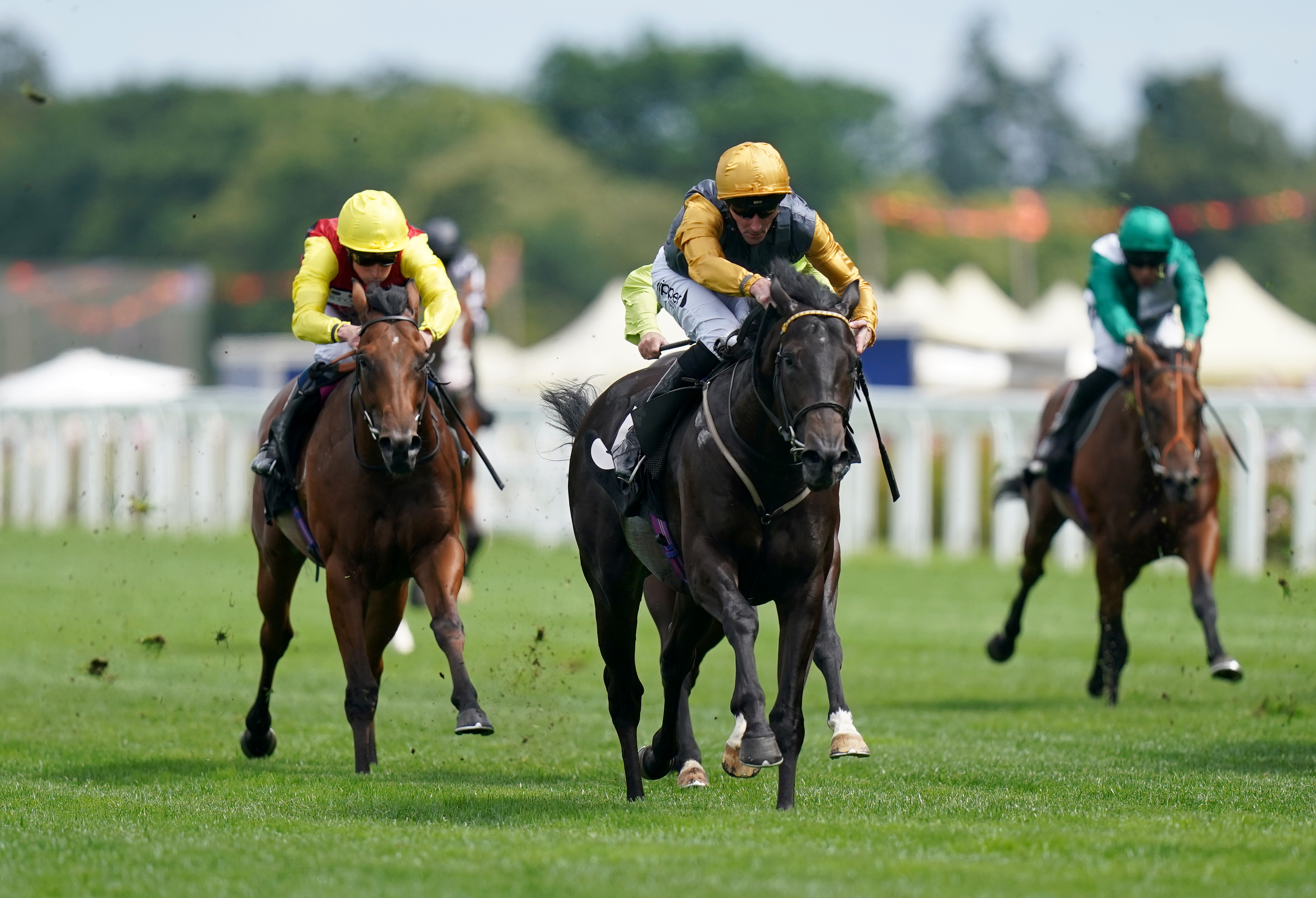 Indian Run (centre) in the lead at Ascot