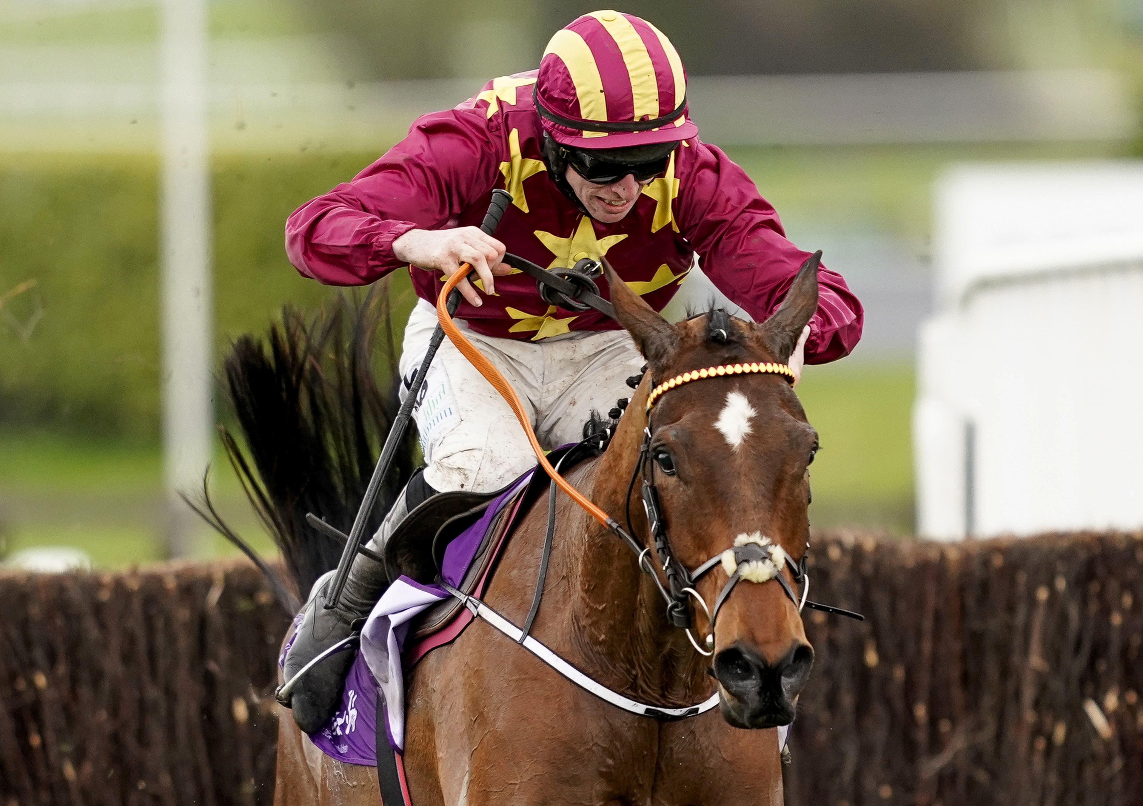 Minella Indo is a leading Irish Grand National contender