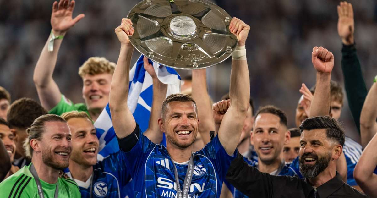 Dzeko Signs One-Year Deal with Schalke After Promotion Success