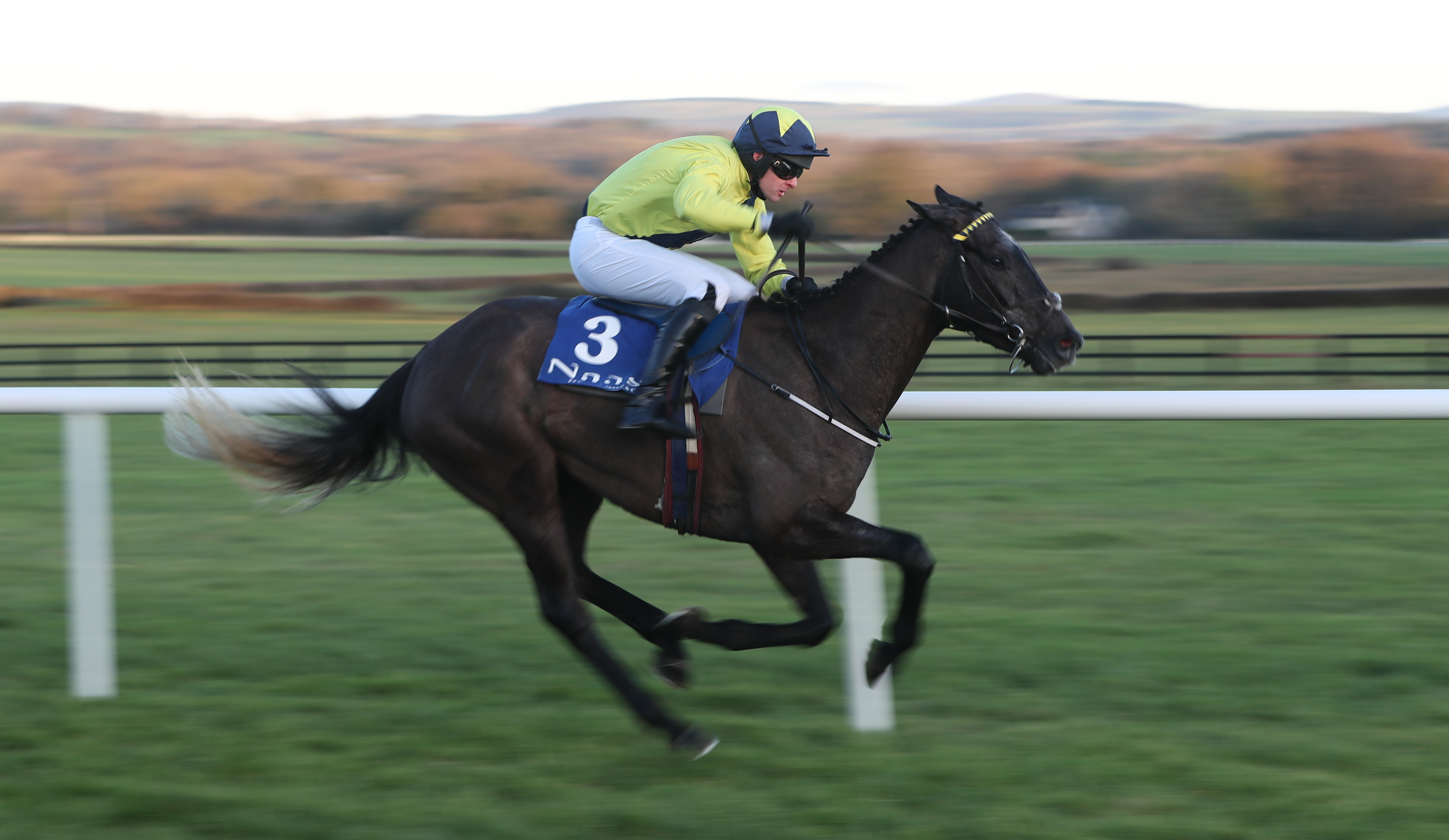 Espanito Bello is a bit