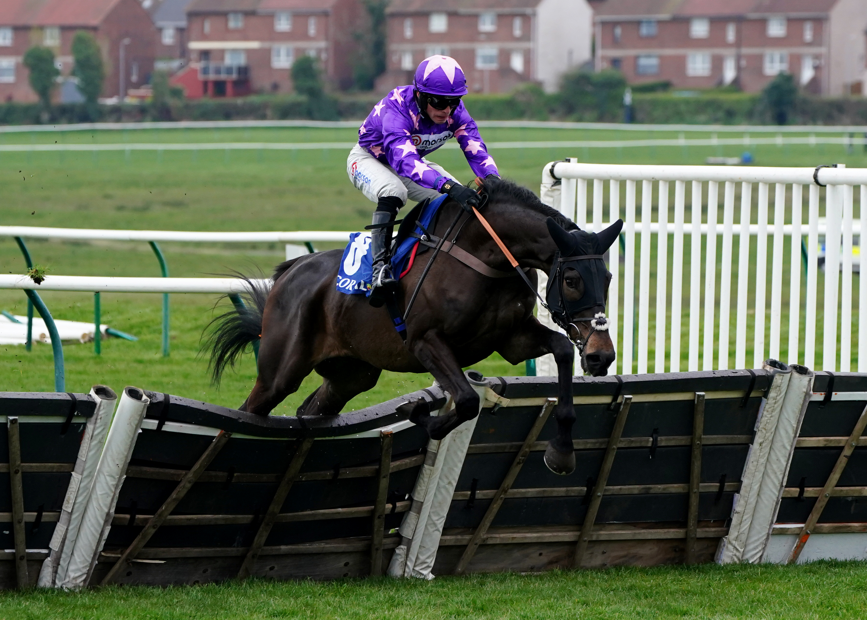Rubaud winning last year's Scottish Champion Hurdle