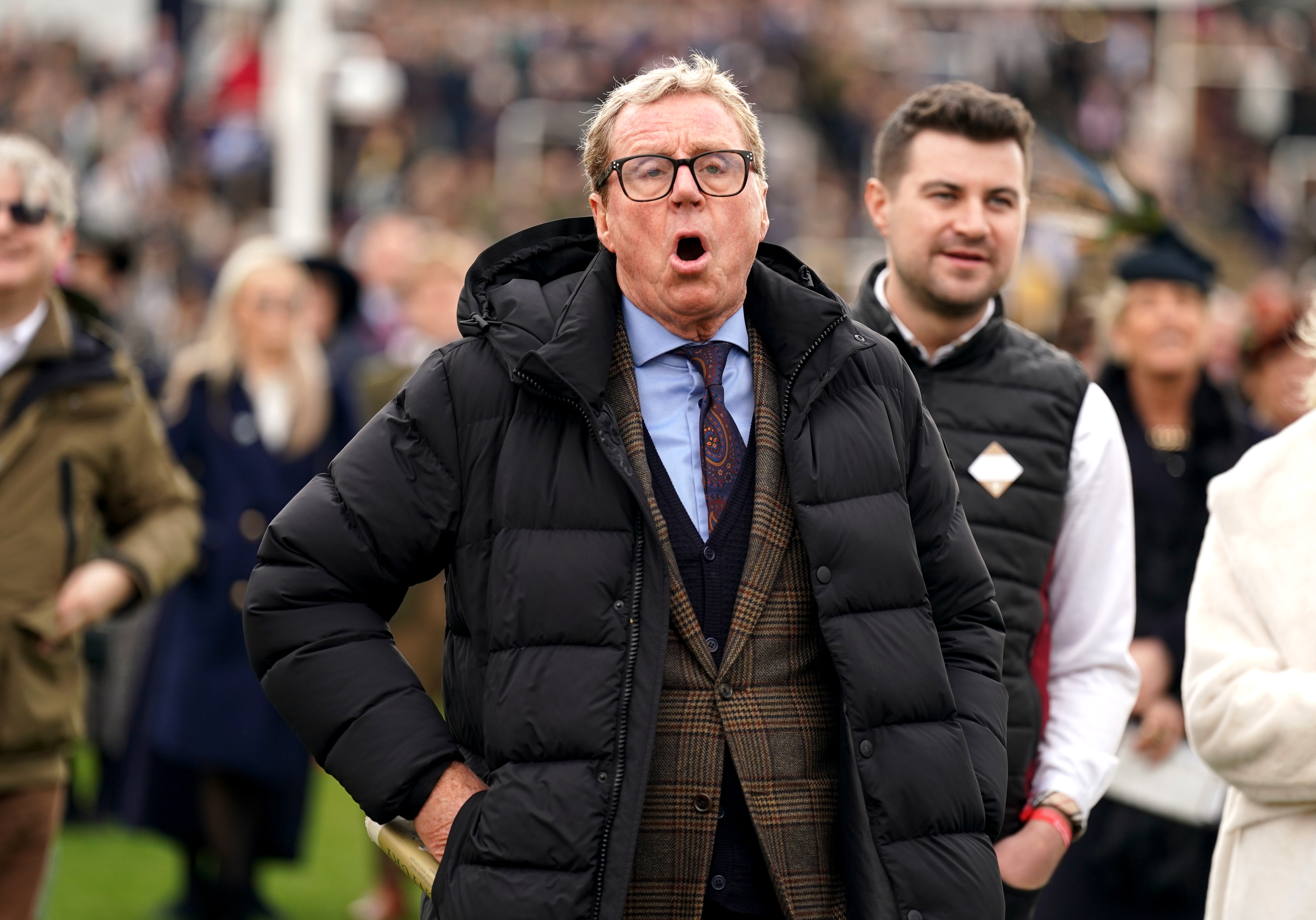 Harry Redknapp reacts to The Jukebox Man getting chinned at Cheltenham