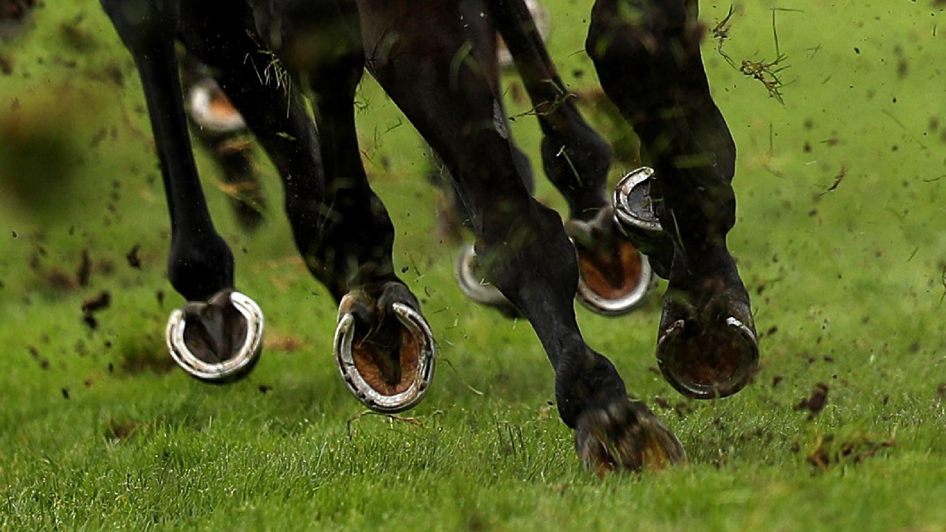 Simca Mille is on course for the Prix de l’Arc de Triomphe following his win in Germany (Simon Cooper/PA)