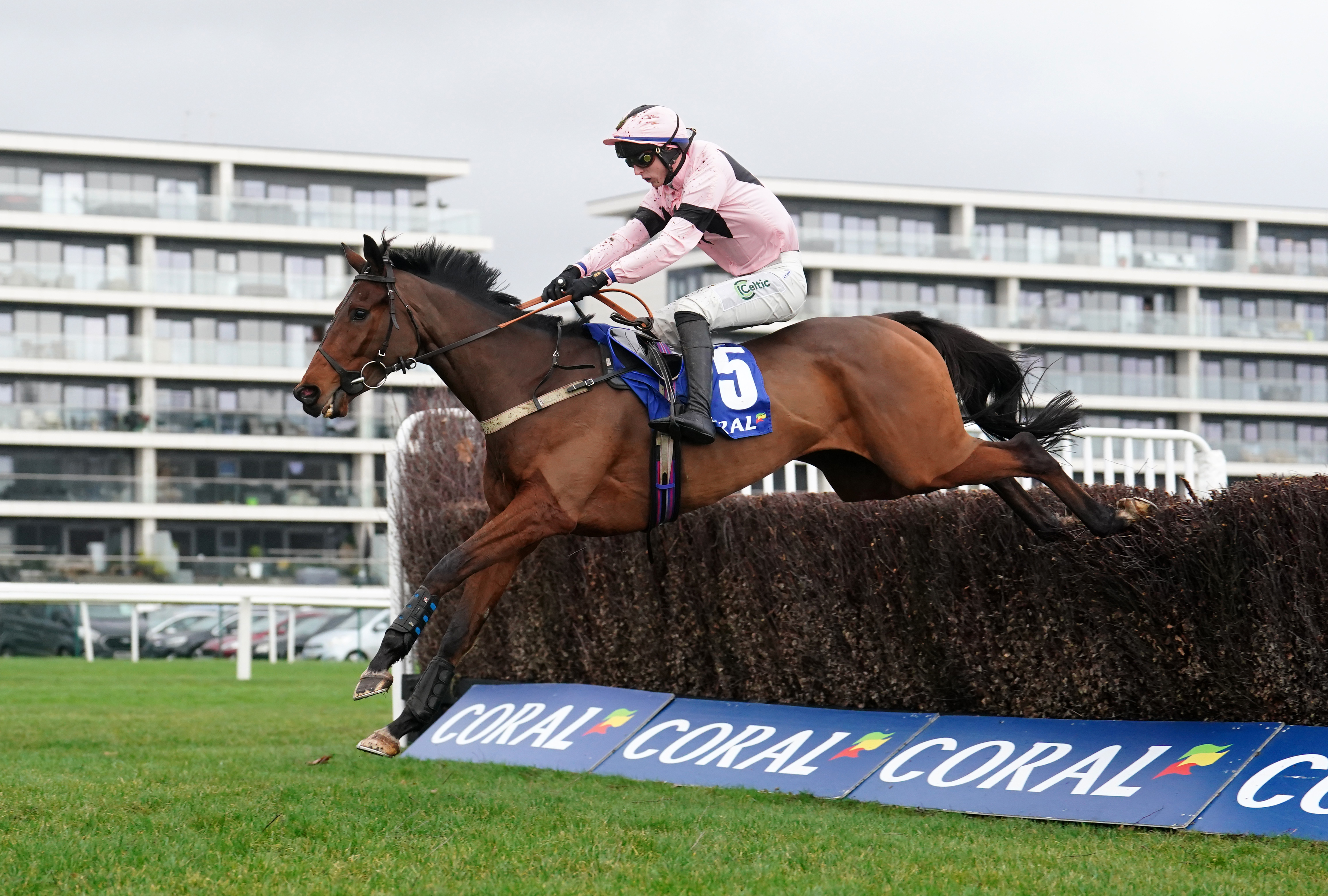 Issar D’Airy produced a fine round of jumping at Newbury