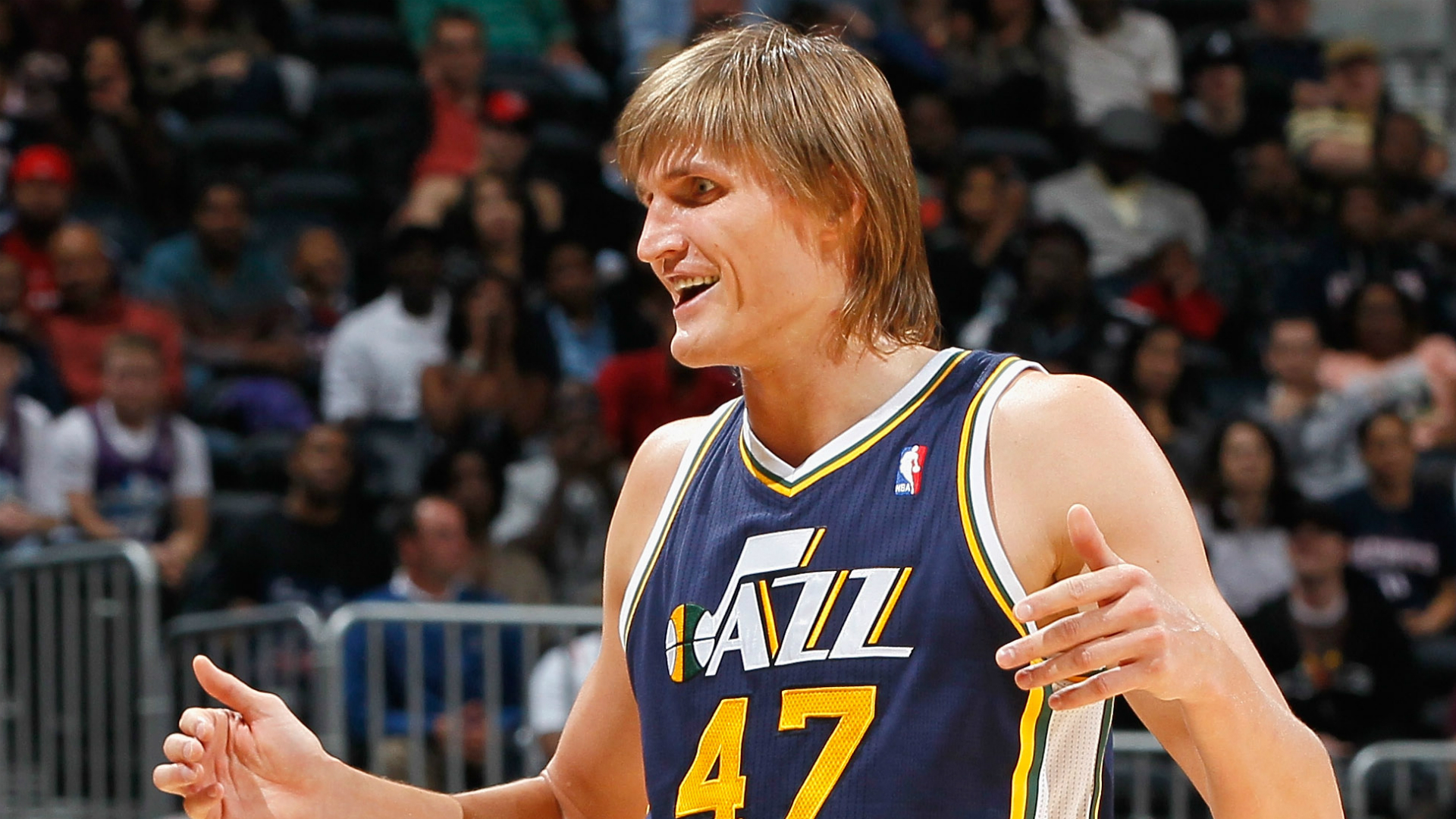 Image result for andrei kirilenko