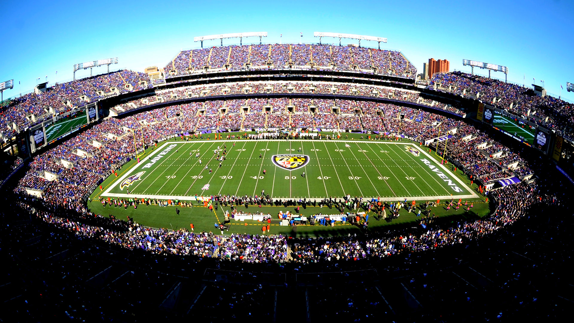 Stadium rave. Стадион Синобо Стэдиум. Стадион Балтимора. M&T Bank Stadium of the Baltimore Ravens.