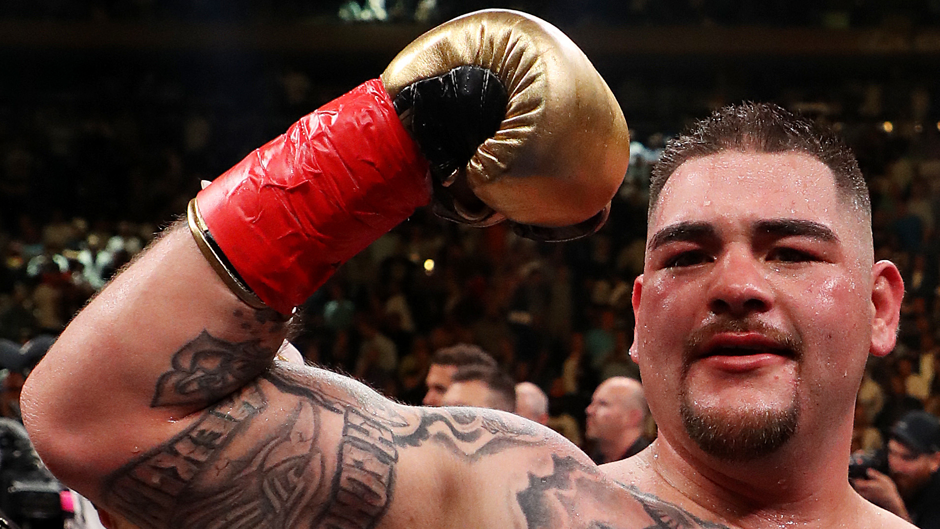 Andy Ruiz Jr. has explosion of new social media followers after Anthony