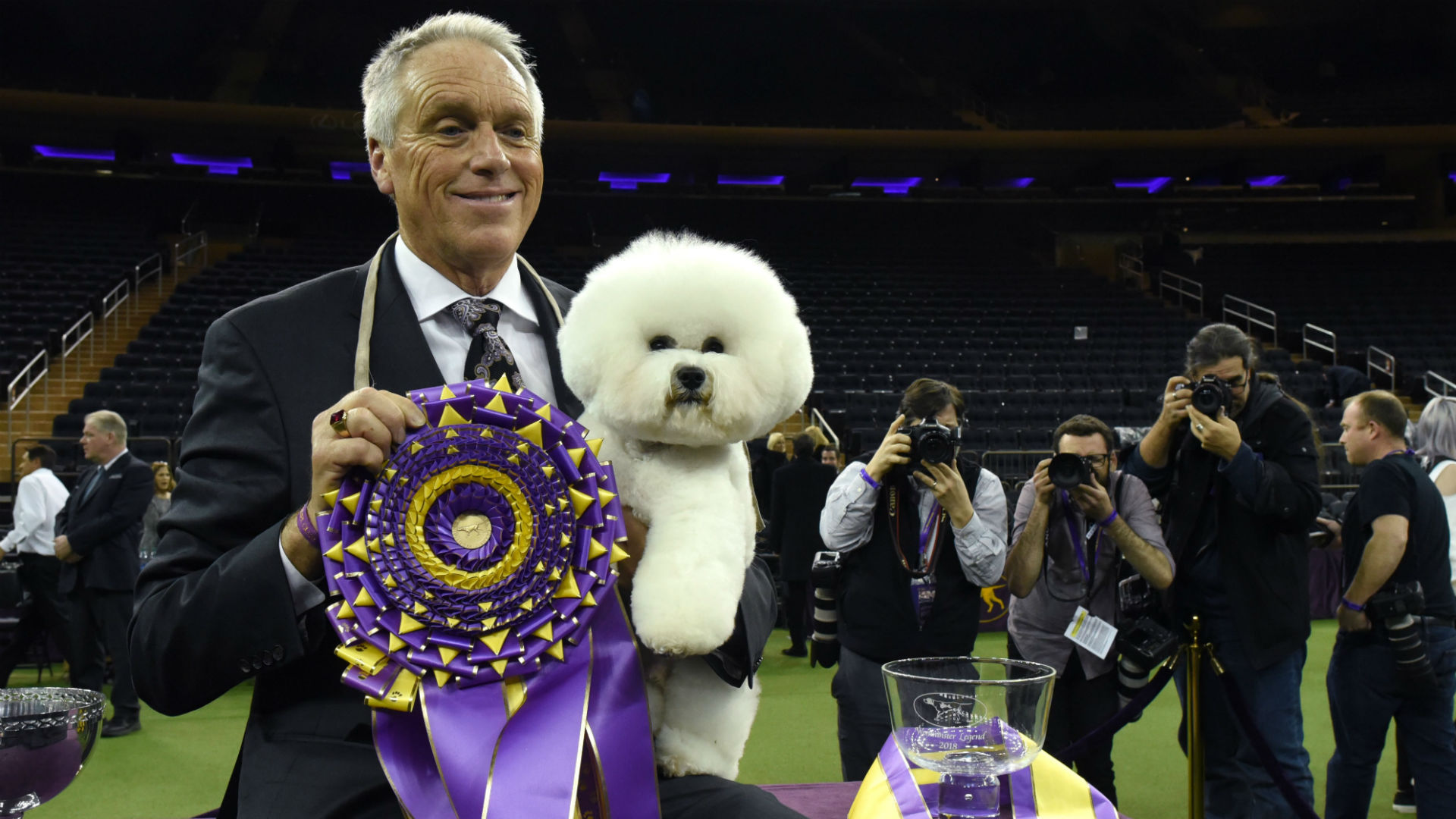 Westminster Dog Show 2019: Dates, TV schedule, live stream, list of past winners ...1920 x 1080