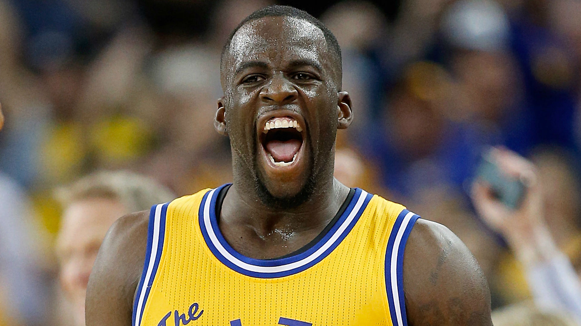 Image result for draymond green pictures
